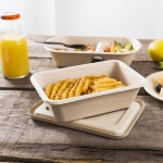 Compostable Ecofriendly Ecosource food Containers